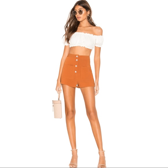 Tularosa Tate Shorts in Rust Burnt Orange High Waist Button Front Silky Shorts - Picture 11 of 15